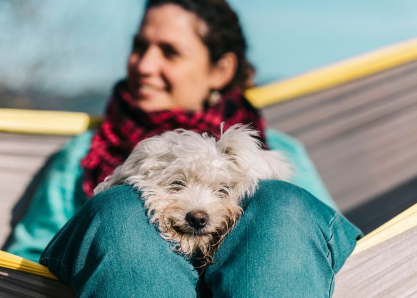 Keep Your Dogs Coat In Top Condition (2)-1