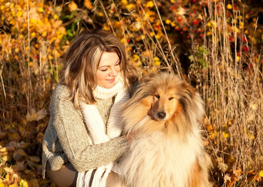 Keep Your Dogs Coat In Top Condition-2