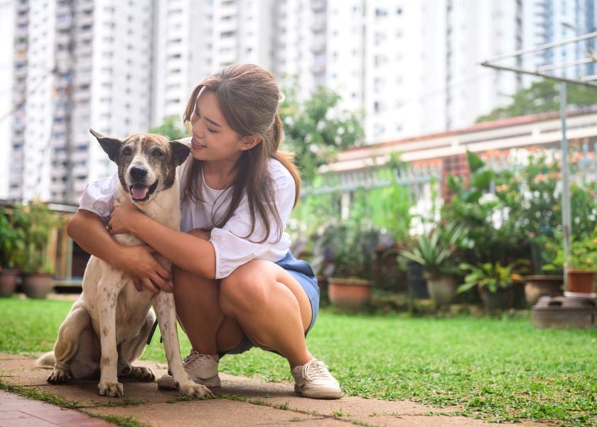 Mellow Perro Blog Articles Photo (840 x600) (1)-3