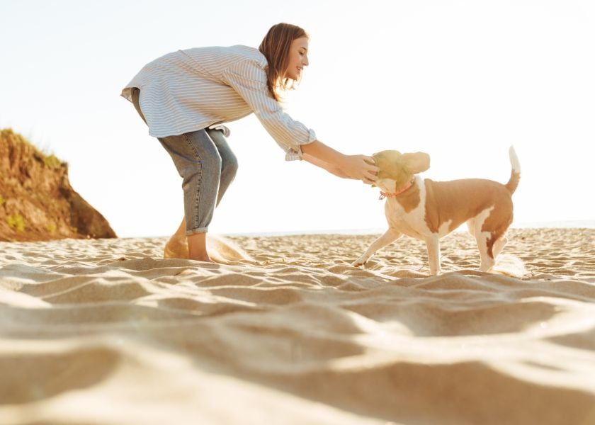 Mellow Perro Blog Articles Photo (840 x600) (7)