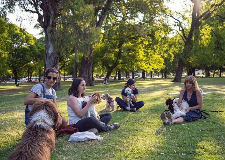 Mellow Perro Blog Articles Photo (840 x600) (8)-2
